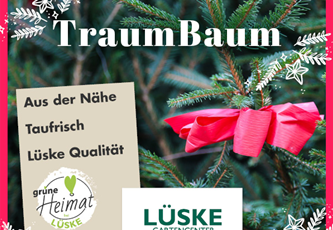 Weihnachtsbaum-Traumbaum-im-Gartencenter-lueske.jpg