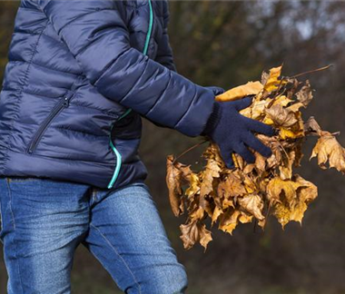 Allgemeine Gartenarbeit im Oktober