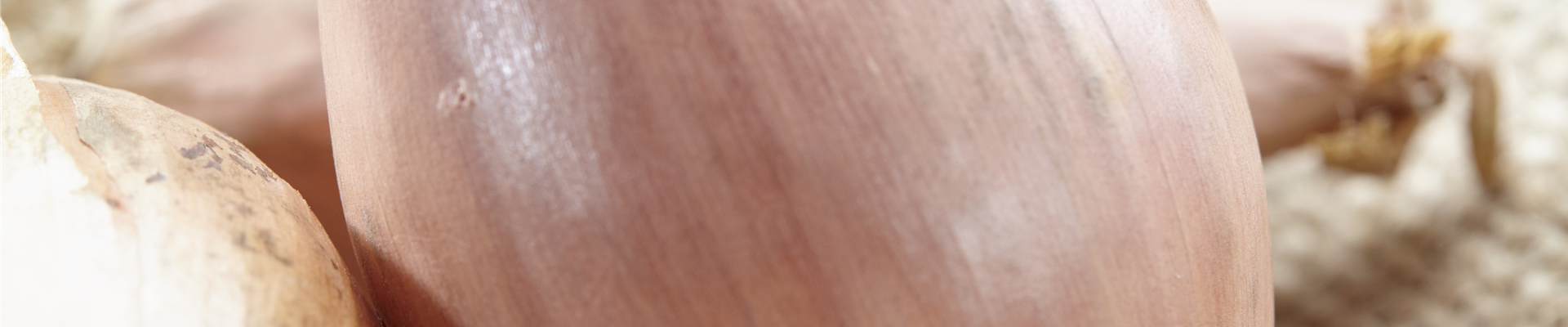 GS490738.jpg GS490738.jpg