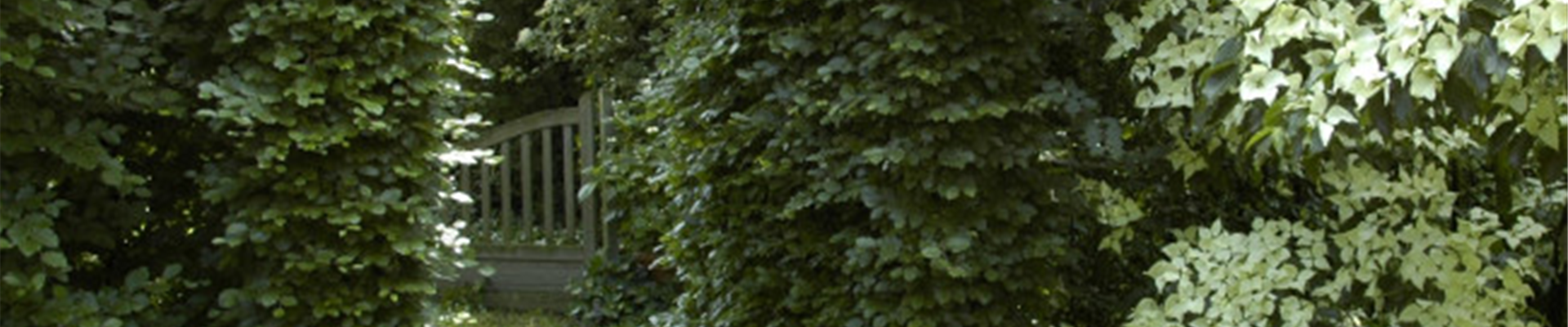 kachel_heckenbogen_GS.jpg kachel_heckenbogen_GS.jpg