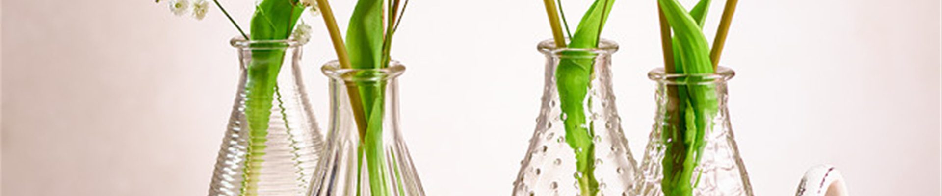 GS_tulpeinvase.jpg GS_tulpeinvase.jpg