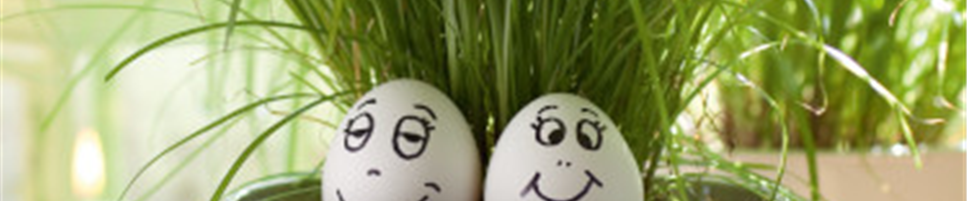 GS_ostern.jpg GS_ostern.jpg