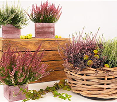 DIY Herbstlicher Korb