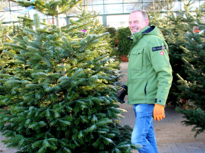 Weihnachtsbaum Verkauf Weihnachtsbaum Verkauf