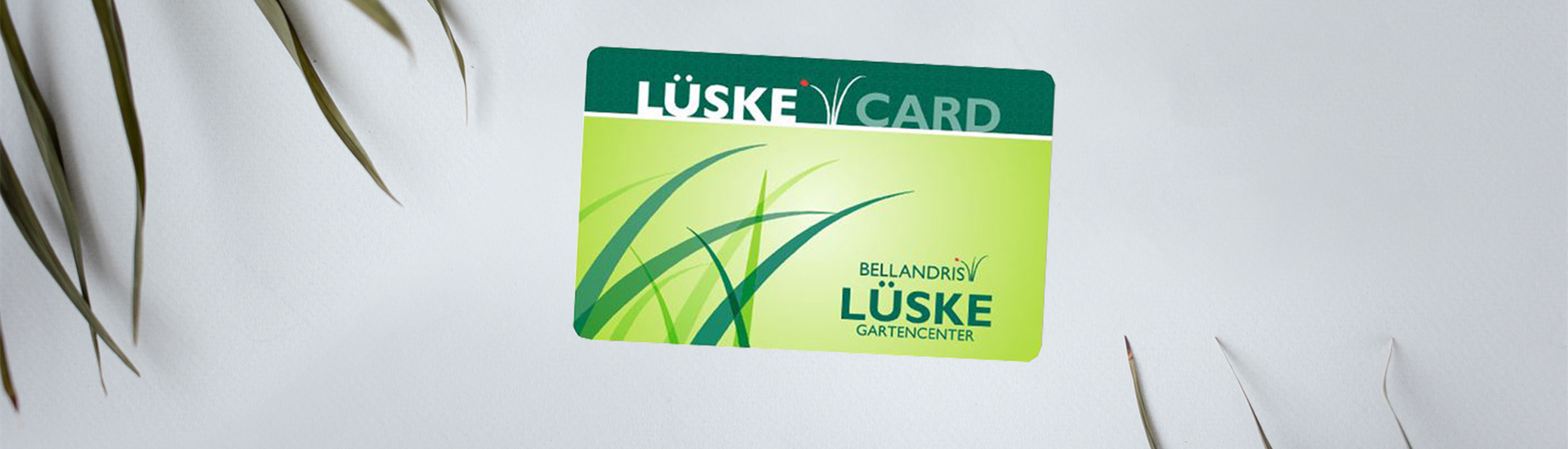 Kuka_Mockup_Lueske.jpg Kuka_Mockup_Lueske.jpg