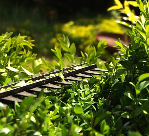 Allgemeine Gartenarbeit