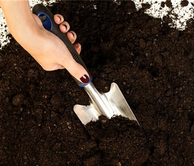 Allgemeine Gartenarbeit im März