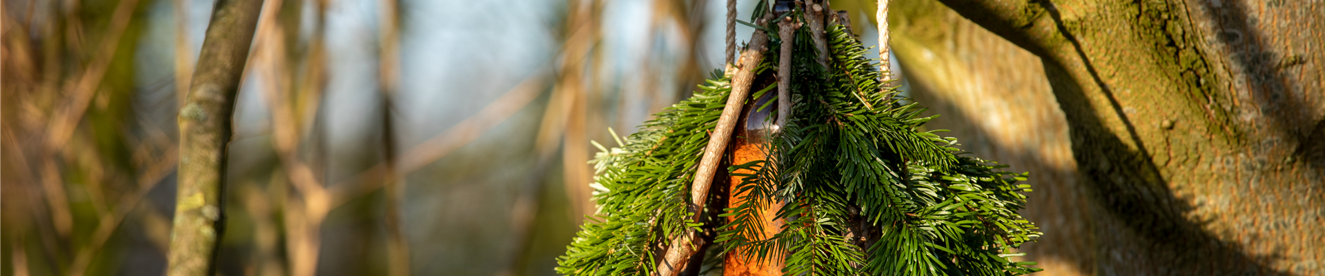 Ein Vogelhaus aus dem Tannenbaum bauen (Thumbnail).jpg Ein Vogelhaus aus dem Tannenbaum bauen (Thumbnail).jpg