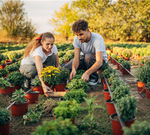 Verkäufer / Kaufmann im Einzelhandel für Gartenhartware (m/w/d) Verkäufer / Kaufmann im Einzelhandel für Gartenhartware (m/w/d)