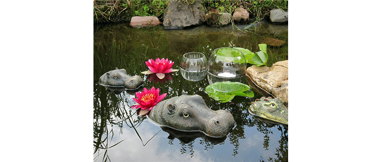 Gartenteich_Schwimmtiere.jpg Gartenteich_Schwimmtiere.jpg