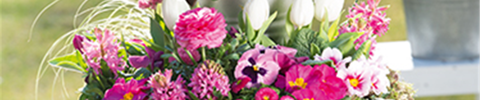 TerrasseBalkon_Mrz-Mai.jpg TerrasseBalkon_Mrz-Mai.jpg