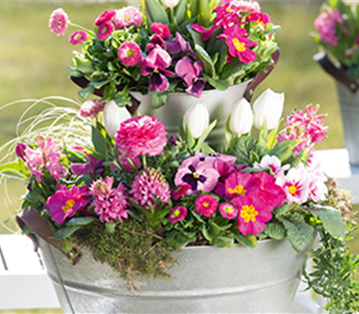 Terrasse & Balkon im Mai