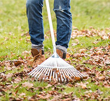 Allgemeine Gartenarbeit im Juli Allgemeine Gartenarbeit im Juli