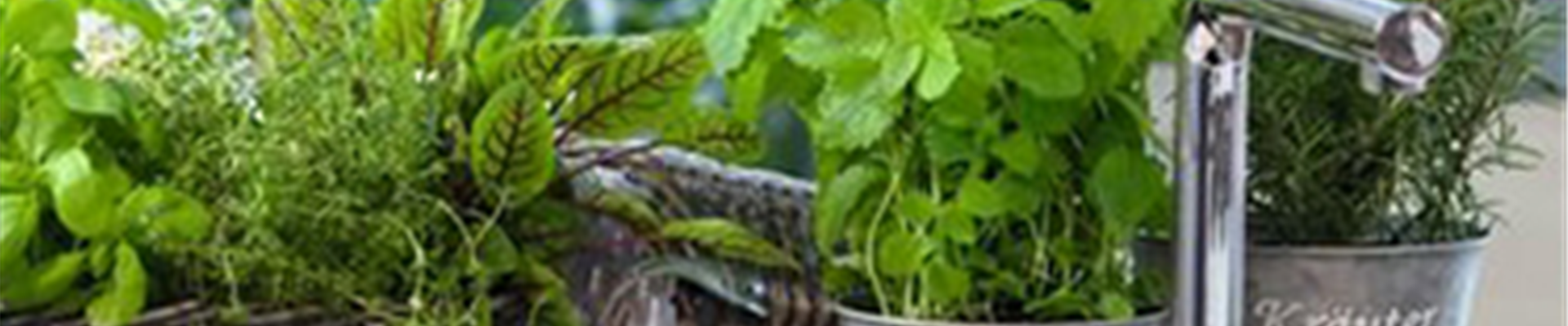 Nutzgarten_Dez-Feb.jpg Nutzgarten_Dez-Feb.jpg