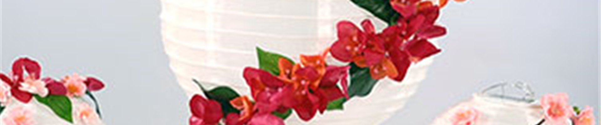 Teaser_YT_Blumenlampion.jpg Teaser_YT_Blumenlampion.jpg