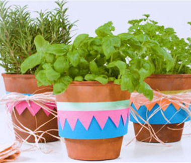 Fröhlich dekorierte Kräutertöpfe