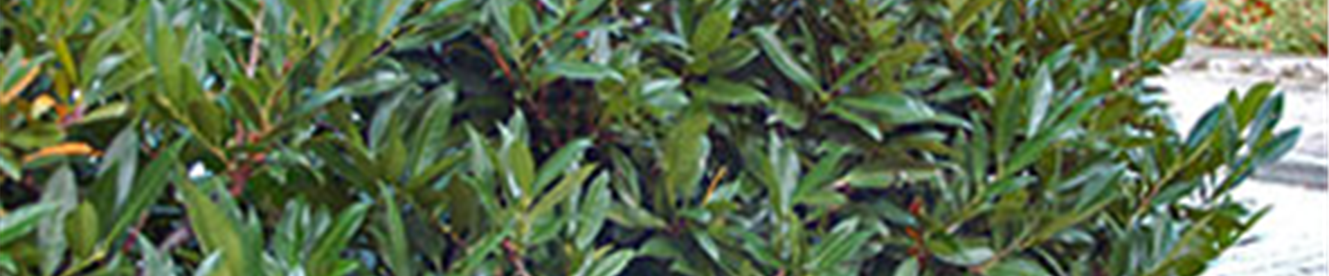 03_März_Teaser_Neudorff.jpg 03_März_Teaser_Neudorff.jpg