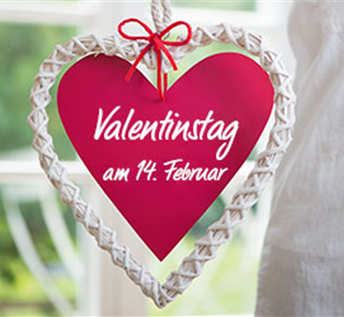 Ideen zum Valentinstag Ideen zum Valentinstag