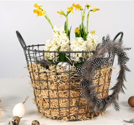 Ostern im Korb