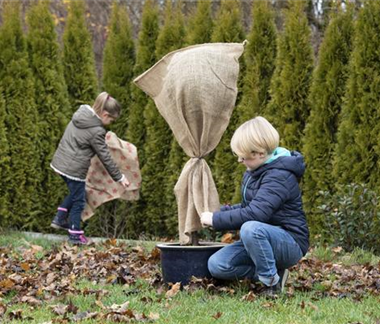 Allgemeine Gartenarbeit im November