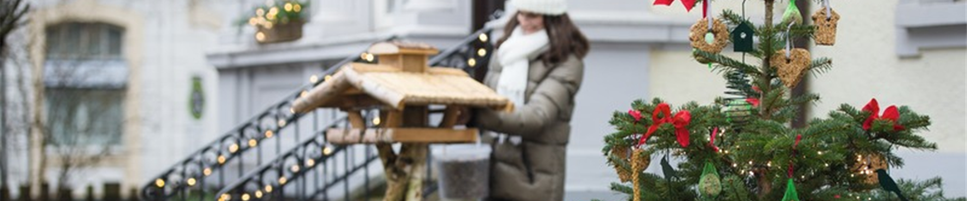 Vogelhaus „Rügen“ mit Ständer_91079_BELLANDRIS_SAGAFLOR_AG_Web_unbekannt.jpg Vogelhaus „Rügen“ mit Ständer_91079_BELLANDRIS_SAGAFLOR_AG_Web_unbekannt.jpg