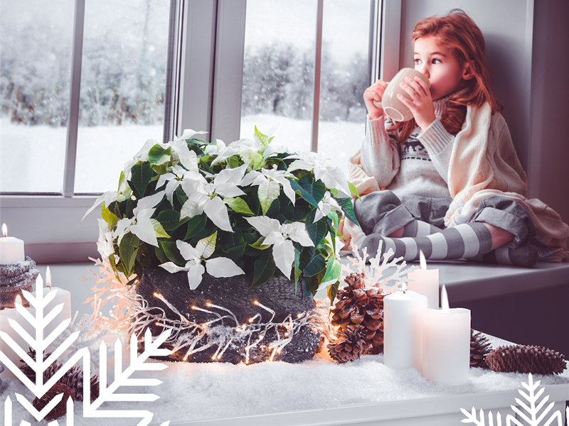 Heiligabend geöffnet von  Heiligabend geöffnet von